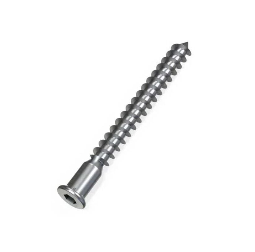 Kabin Vidası Alyan Başlı 6.3x50