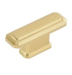 A4101016 MP35 Düğme Kulp 016mm Fırçalı Sarı